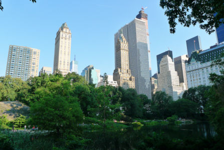 Central-Park-aug2014