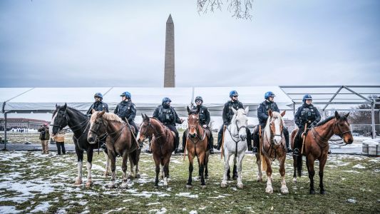 erik-bergin_dc-17jan2025-3-25