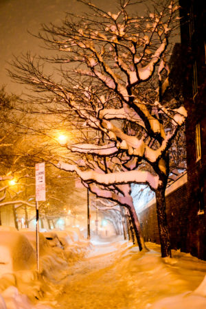 NYC blizzard