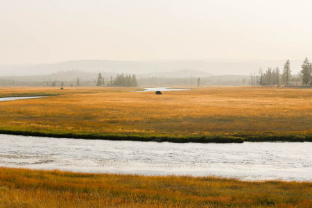 yellowstone1-aug2015-27