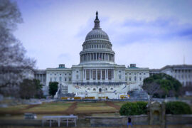 Kongressen i Washington DC. Foto: Erik Bergin